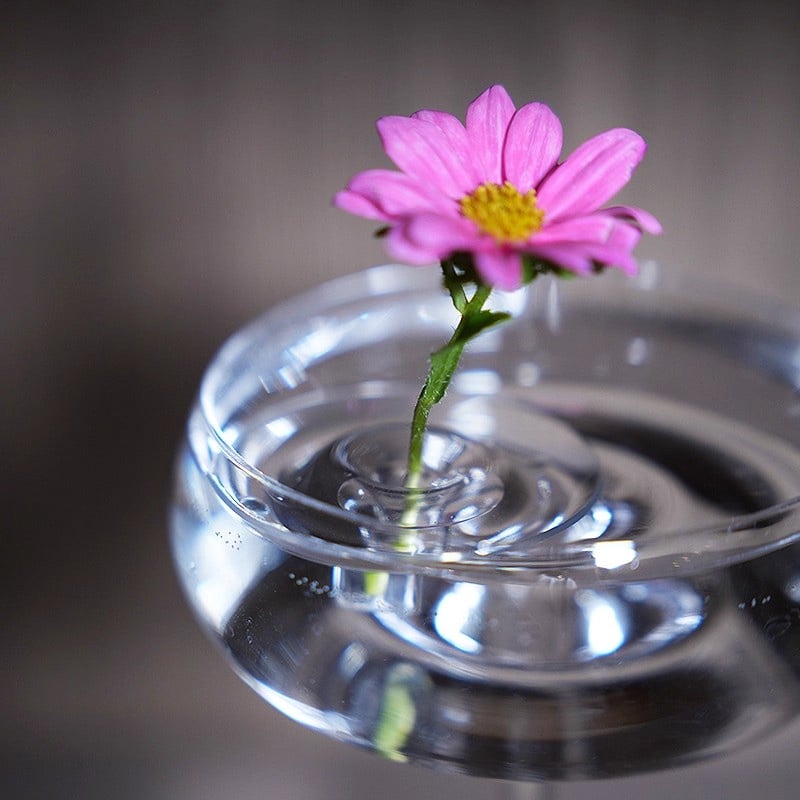 🌷2026 Support créatif pour composition florale flottante