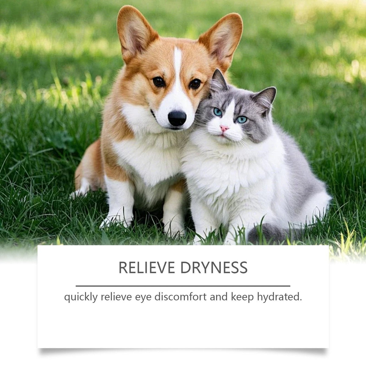 🏆Flash Sale⚡ 50K+ SOLD! 🐶Eye Drops for Cat & Dog, Prevent Tear Stains Remove Dirt