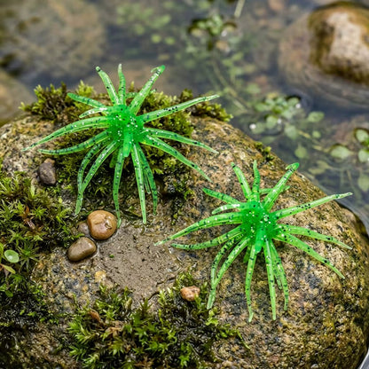 20 pièces d’appâts en forme de dés avec créatures pour la pêche du bar