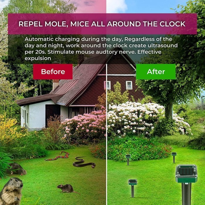 🌱🏡Répulsif solaire pour souris, taupes, serpents et rongeurs nuisibles