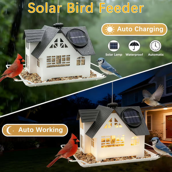 🚚Livraison gratuite🐦🌙Mangeoire à oiseaux suspendue à énergie solaire avec éclairage – Conception robuste en métal avec trémie
