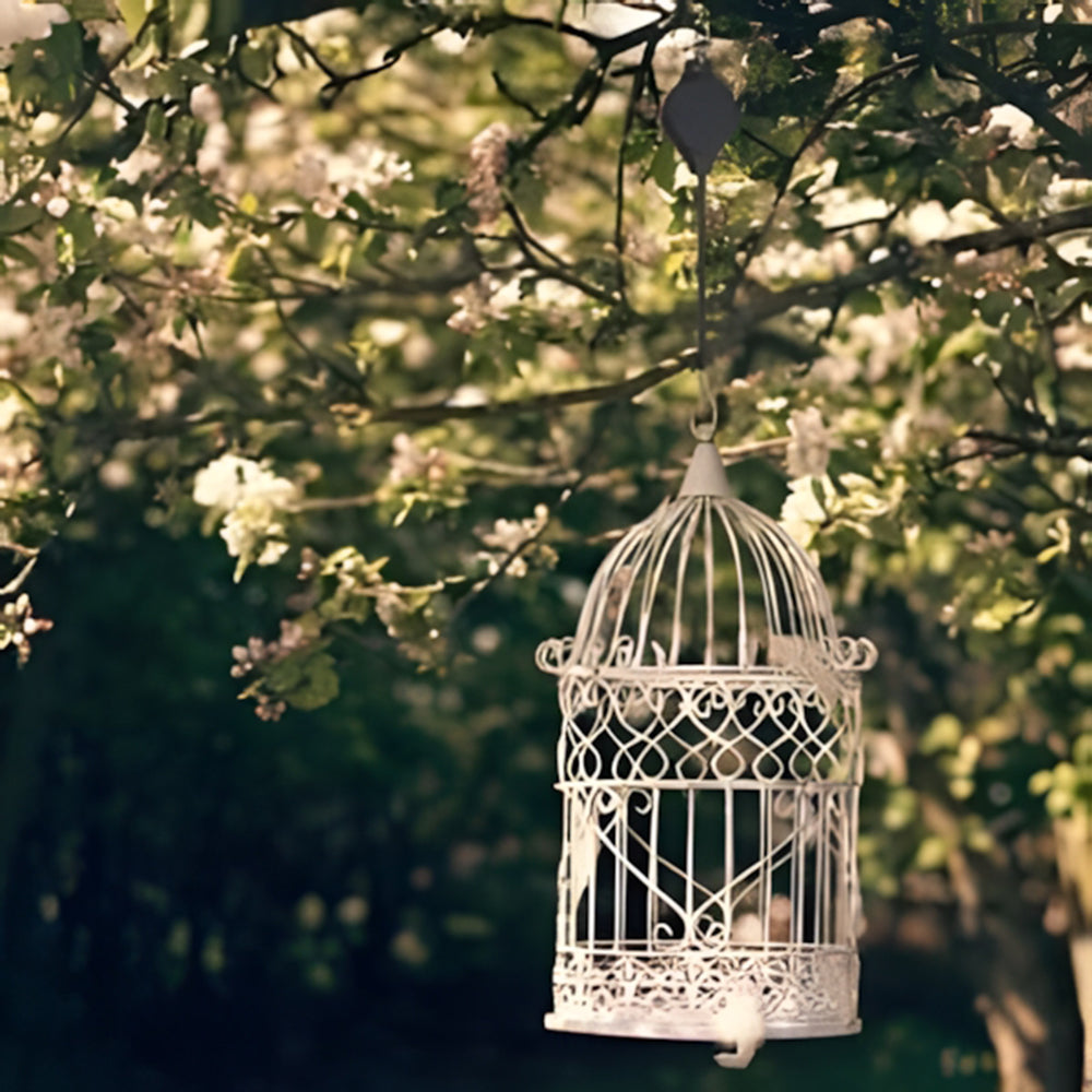 🌳Ensemble de poulies de jardin pour suspensions, pots et mangeoires à oiseaux