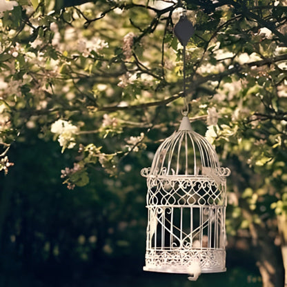 🌳Ensemble de poulies de jardin pour suspensions, pots et mangeoires à oiseaux