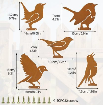 🐦 Lot de 5 silhouettes d’oiseaux réalistes en métal rouillé – Décoration de jardin