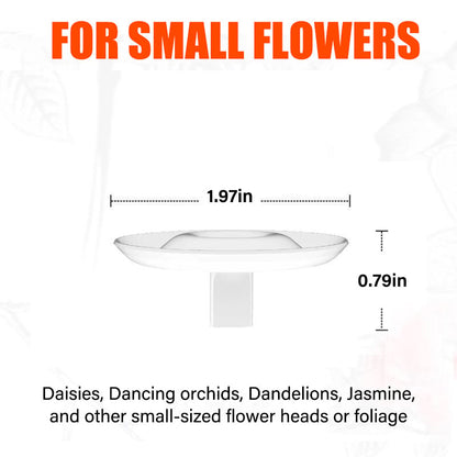 🌷2026 Support créatif pour composition florale flottante