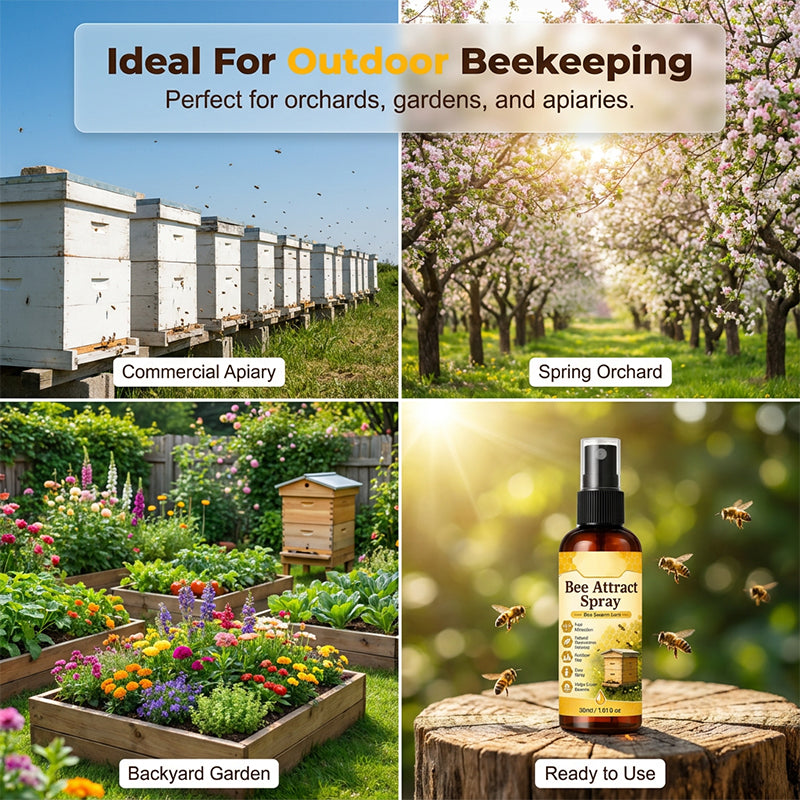 🐝Offre d’été à durée limitée : -50 %🐝Spray attractant naturel pour abeilles en extérieur