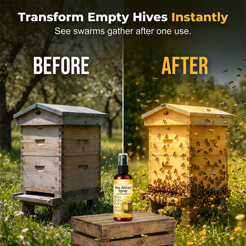 🐝Offre d’été à durée limitée : -50 %🐝Spray attractant naturel pour abeilles en extérieur